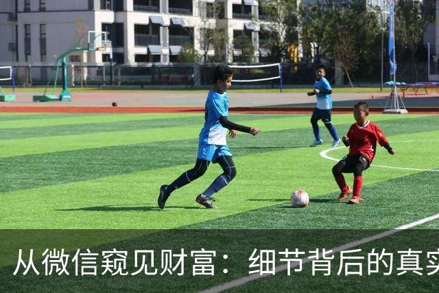 从微信窥见财富：细节背后的真实状态